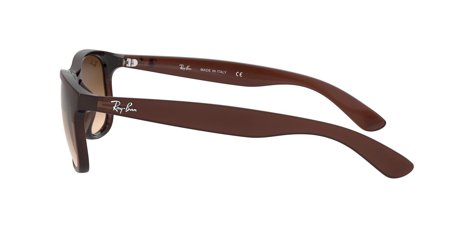 Ray-Ban | 0RB4202