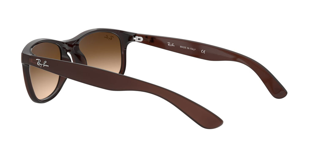 Ray-Ban | 0RB4202