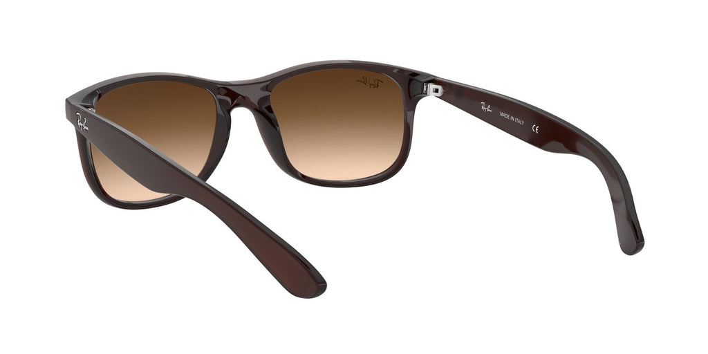 Ray-Ban | 0RB4202