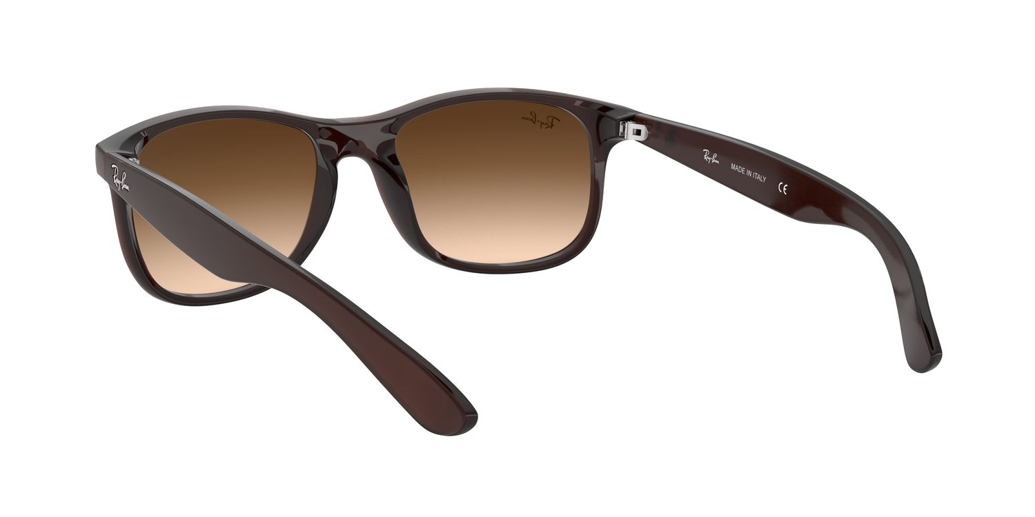 Ray-Ban | 0RB4202
