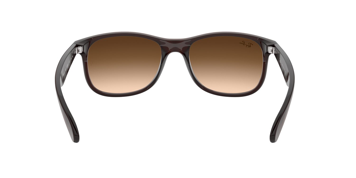 Ray-Ban | 0RB4202