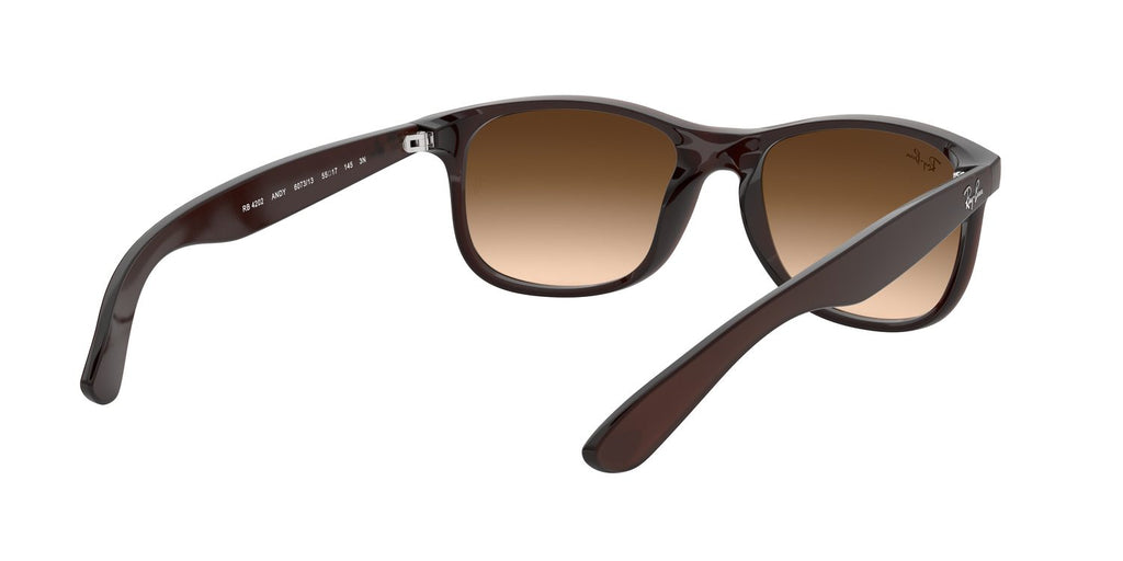 Ray-Ban | 0RB4202