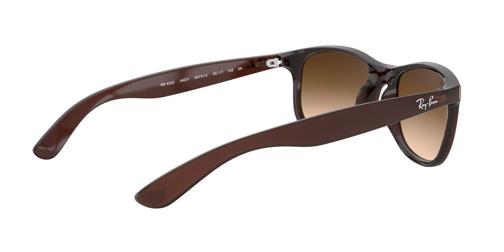 Ray-Ban | 0RB4202