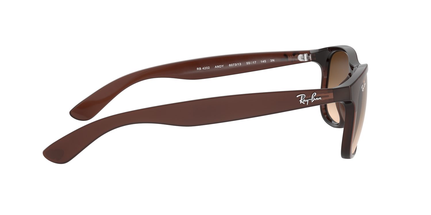 Ray-Ban | 0RB4202