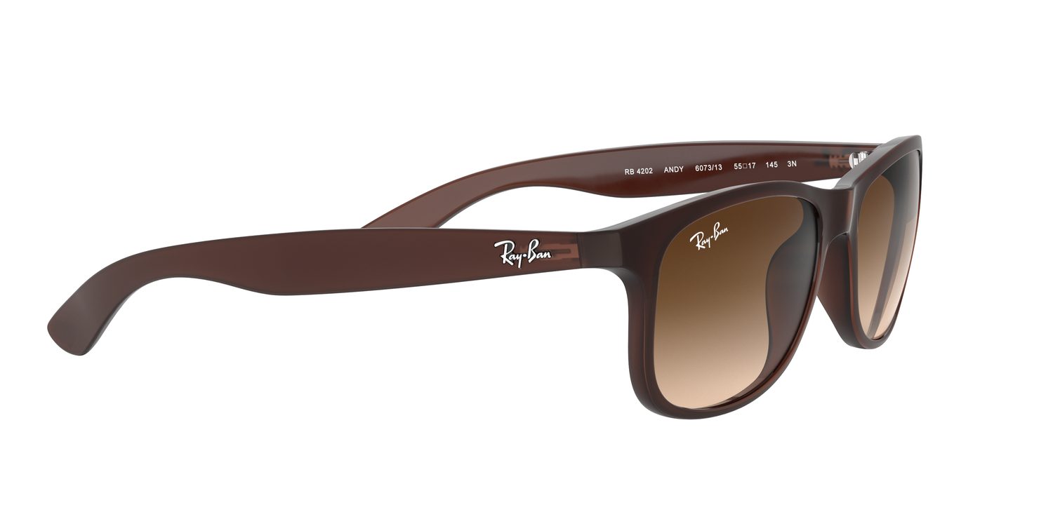 Ray-Ban | 0RB4202