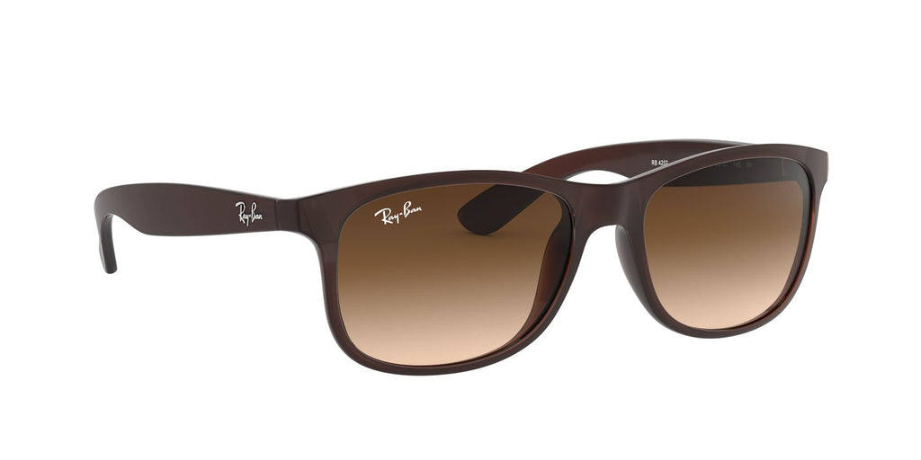 Ray-Ban | 0RB4202