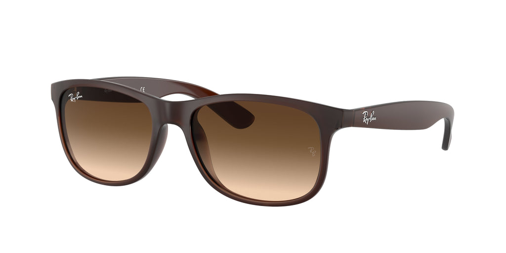 Ray-Ban | 0RB4202