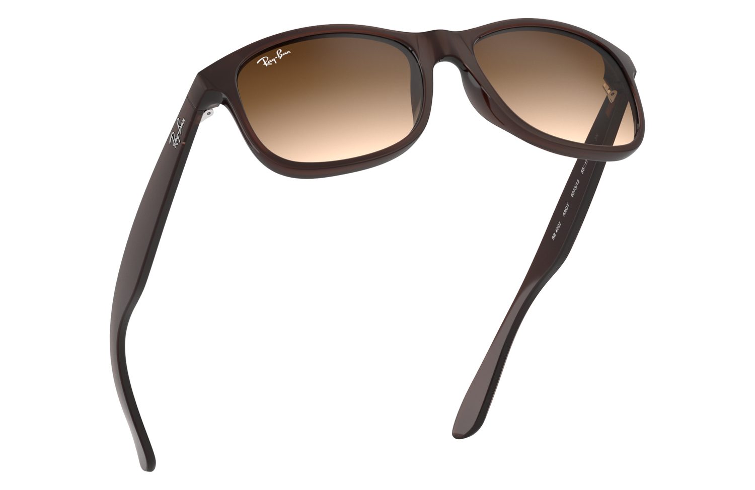 Ray-Ban | 0RB4202