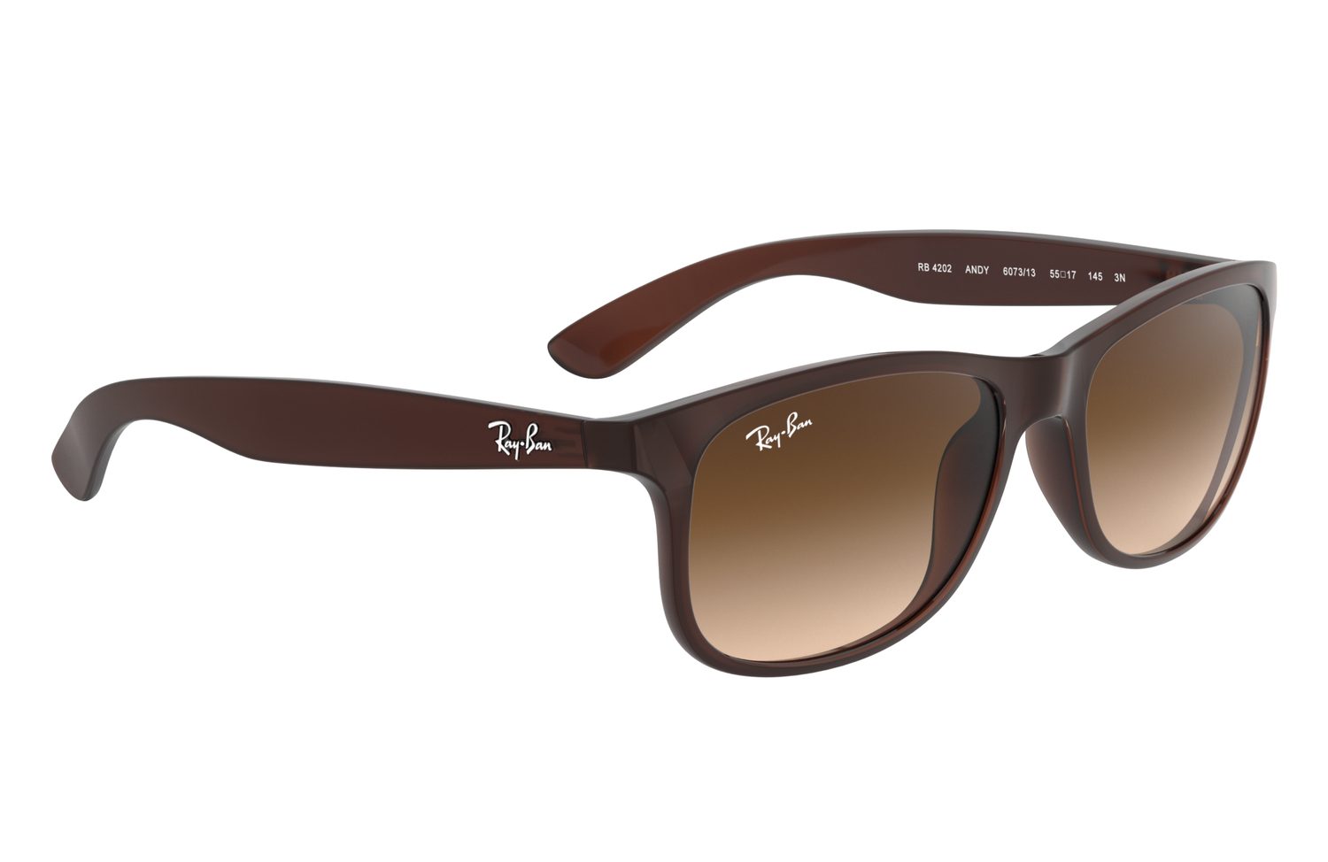Ray-Ban | 0RB4202