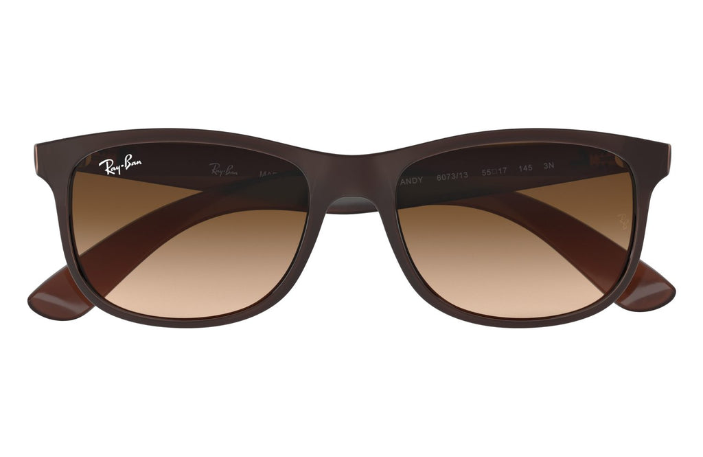 Ray-Ban | 0RB4202