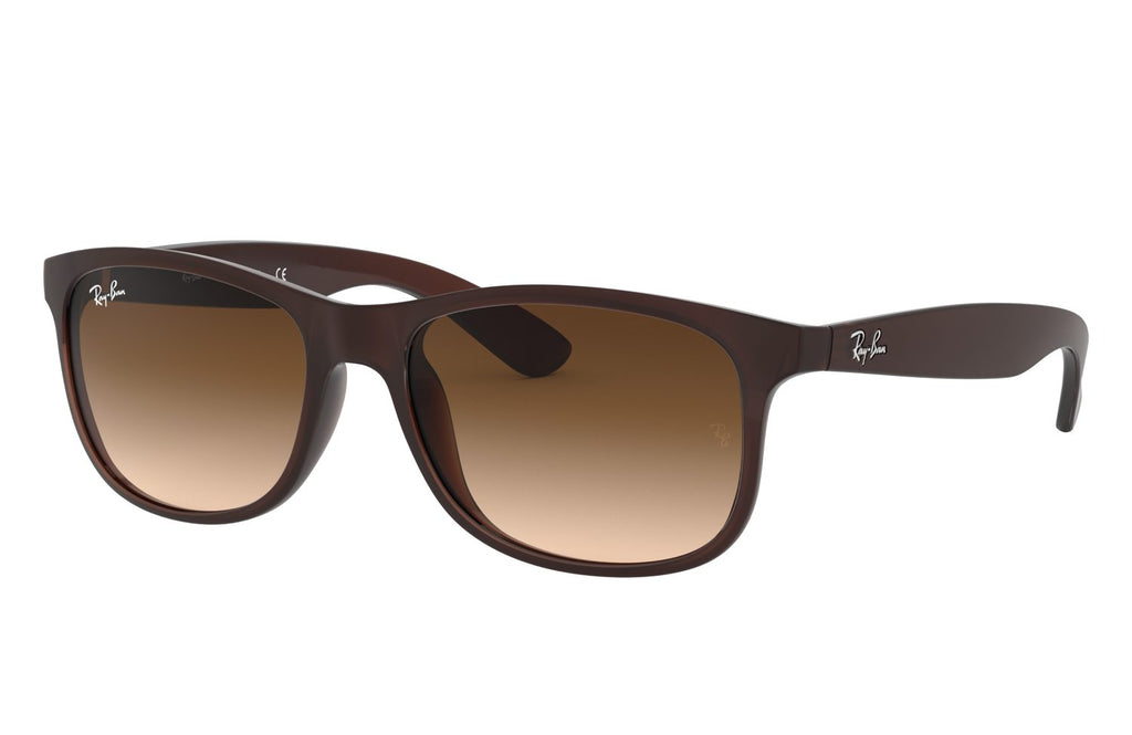 Ray-Ban | 0RB4202