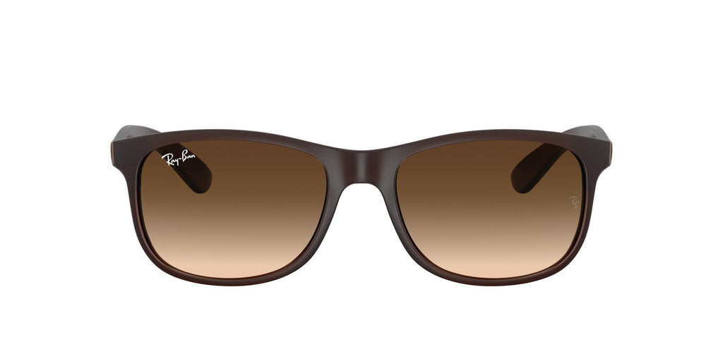 Ray-Ban | 0RB4202