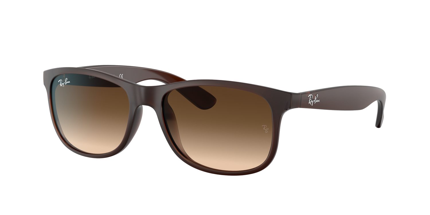 Ray-Ban | 0RB4202