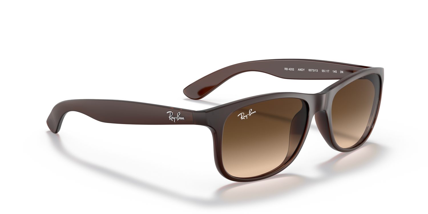 Ray-Ban | 0RB4202