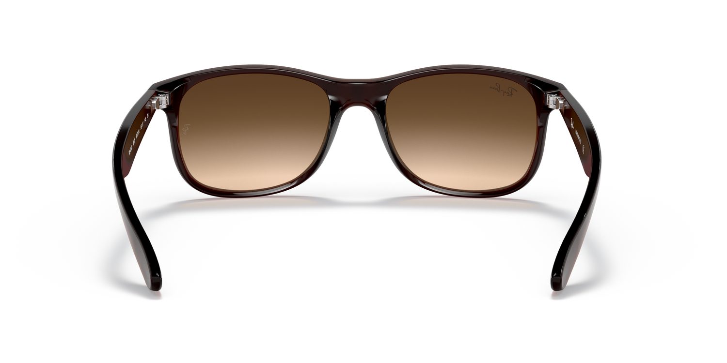 Ray-Ban | 0RB4202
