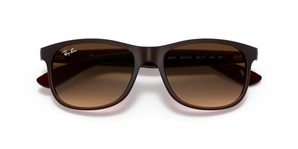 Ray-Ban | 0RB4202