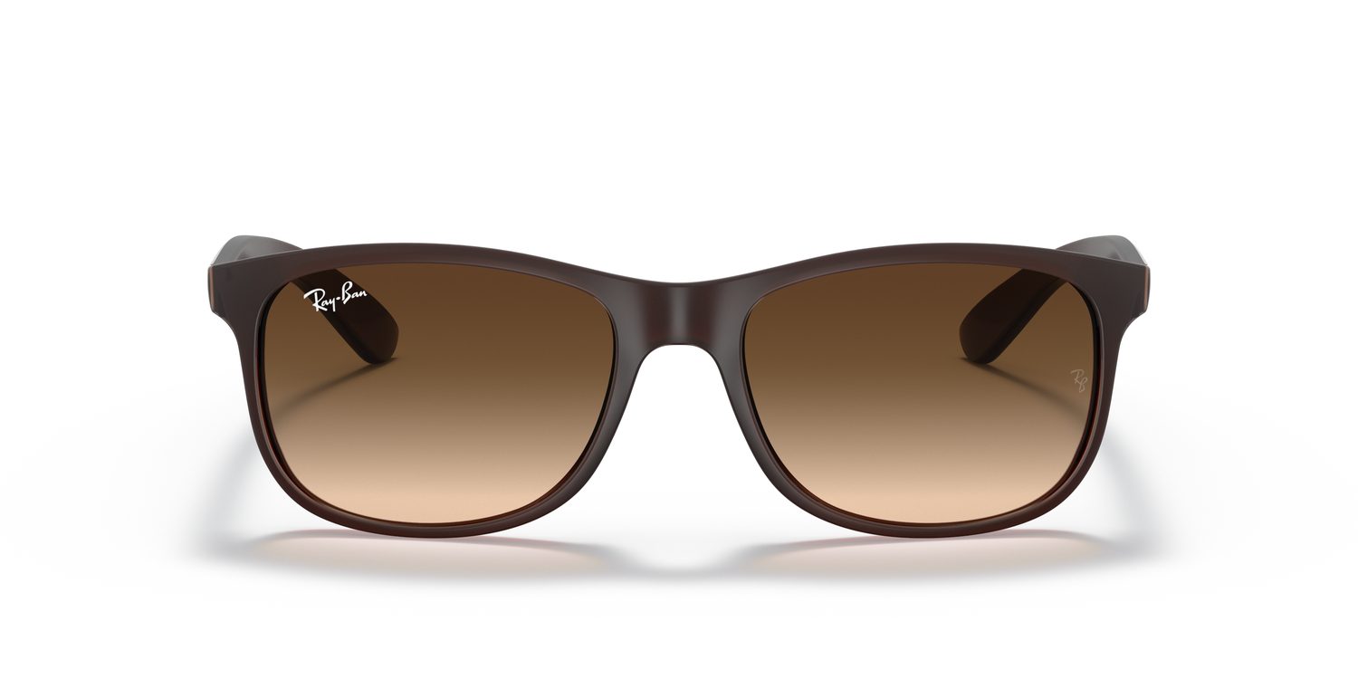 Ray-Ban | 0RB4202
