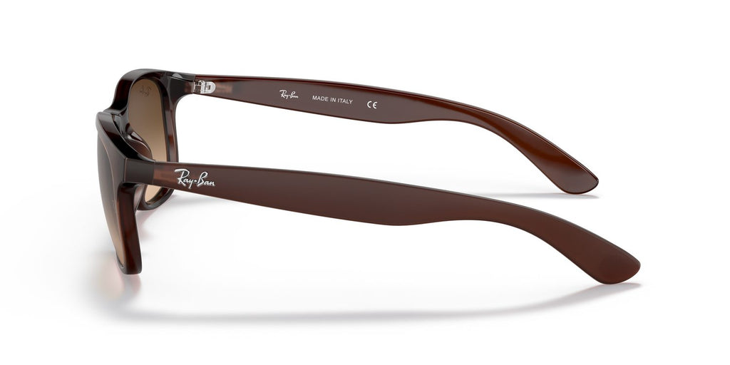 Ray-Ban | 0RB4202