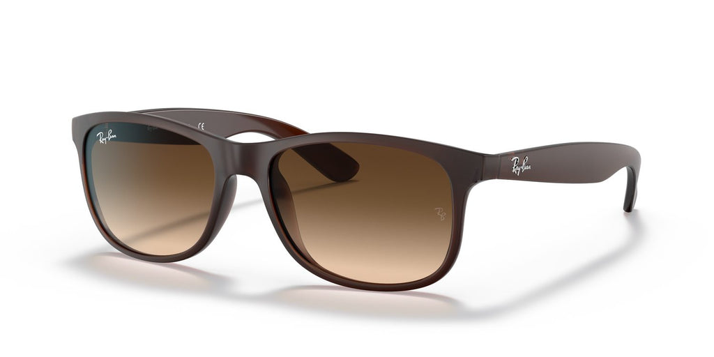 Ray-Ban | 0RB4202