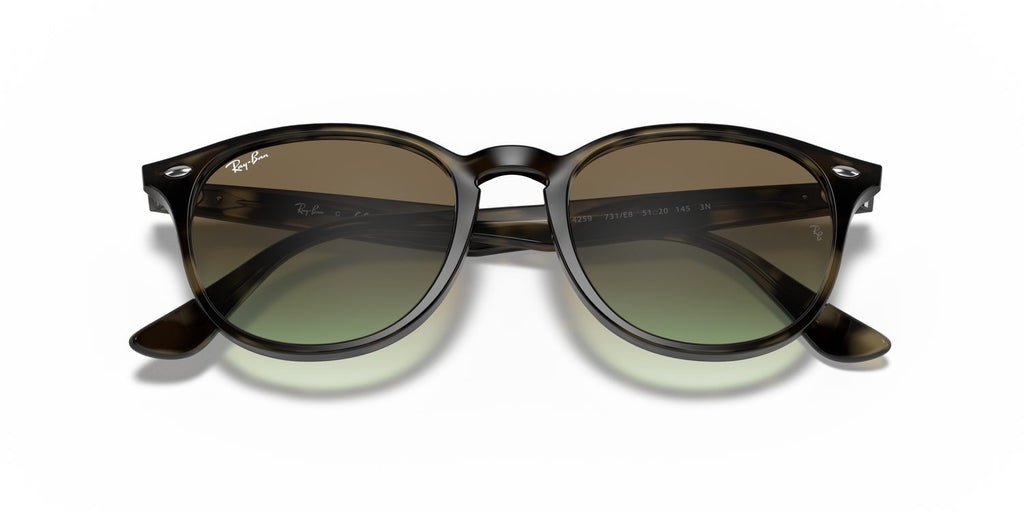 Ray-Ban | 0RB4259