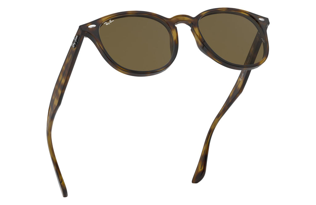 Ray-Ban | 0RB4259