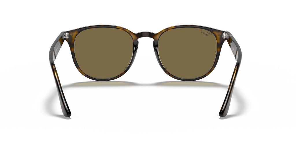 Ray-Ban | 0RB4259