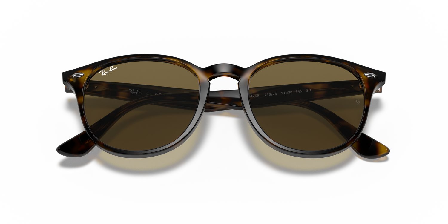 Ray-Ban | 0RB4259