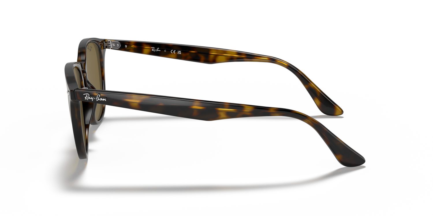 Ray-Ban | 0RB4259