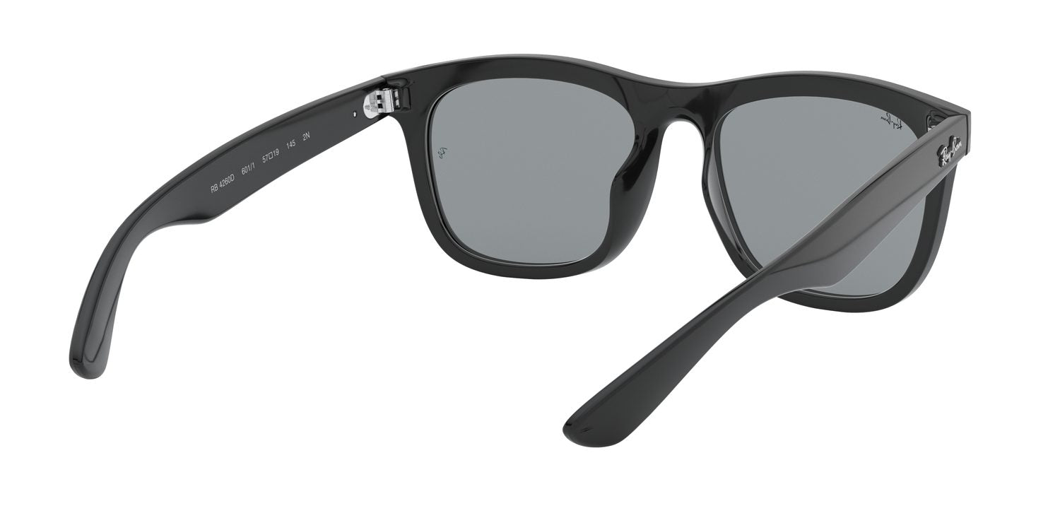 Ray-Ban | 0RB4260D