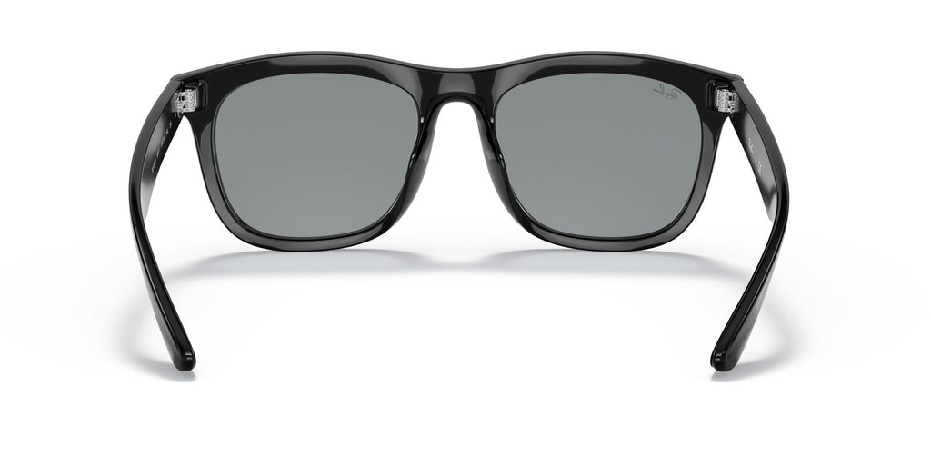 Ray-Ban | 0RB4260D