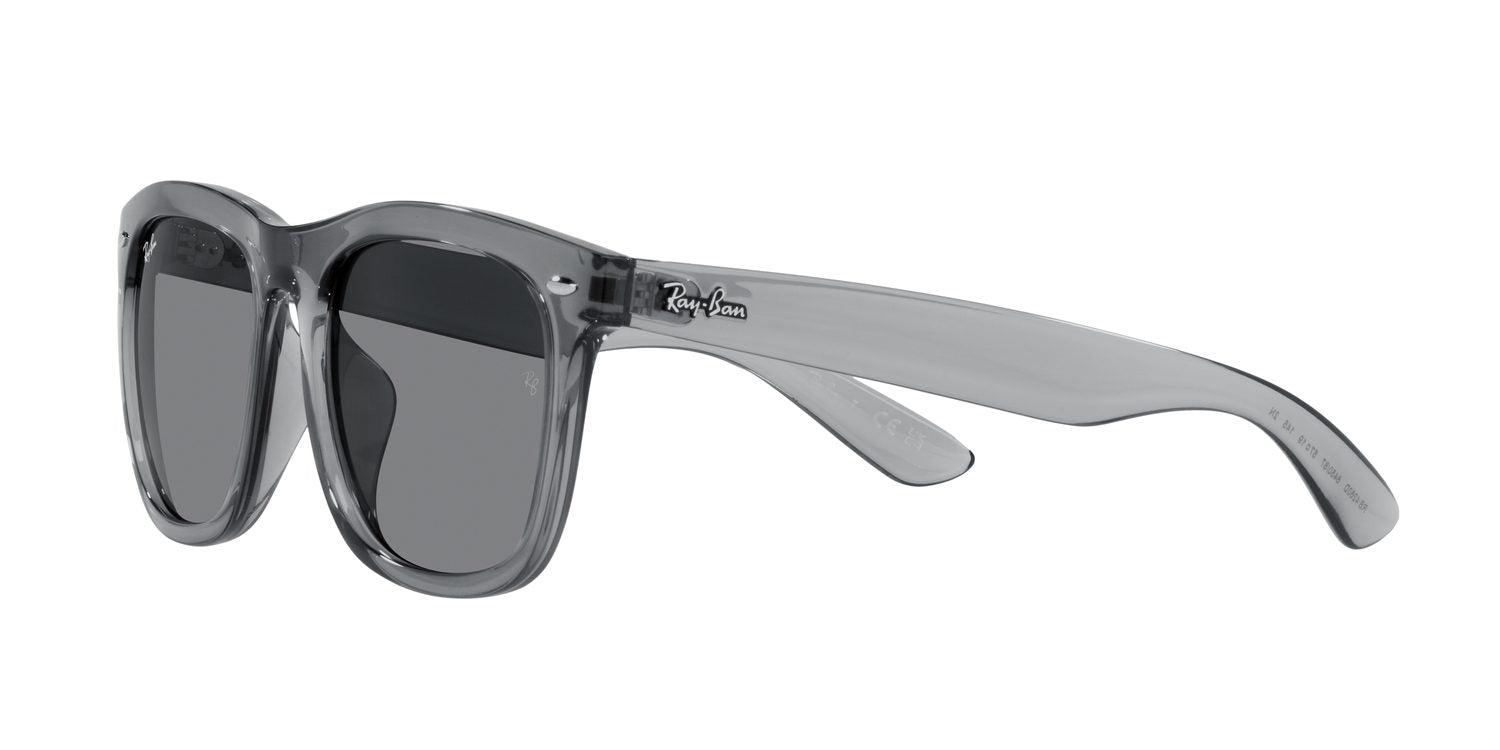 Ray-Ban | 0RB4260D