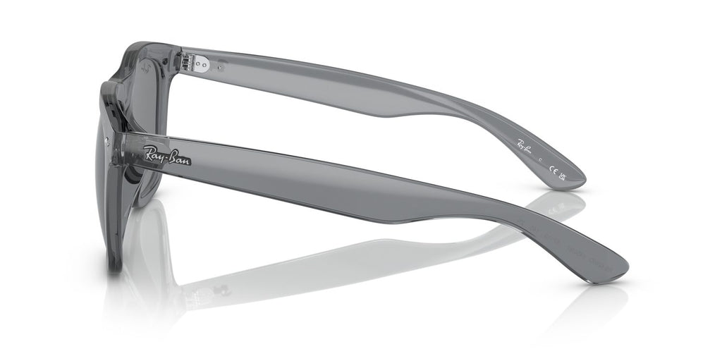 Ray-Ban | 0RB4260D