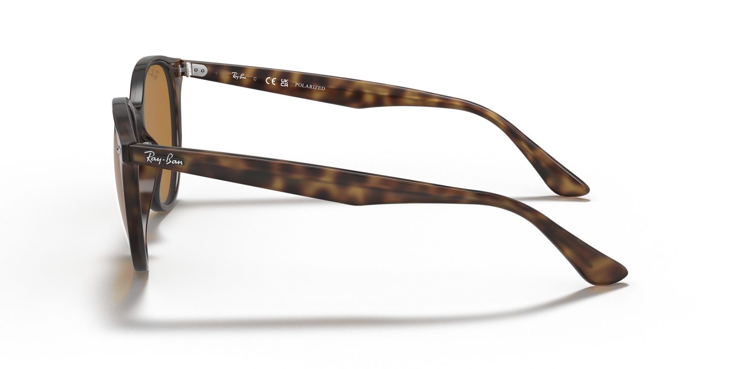Ray-Ban | 0RB4305