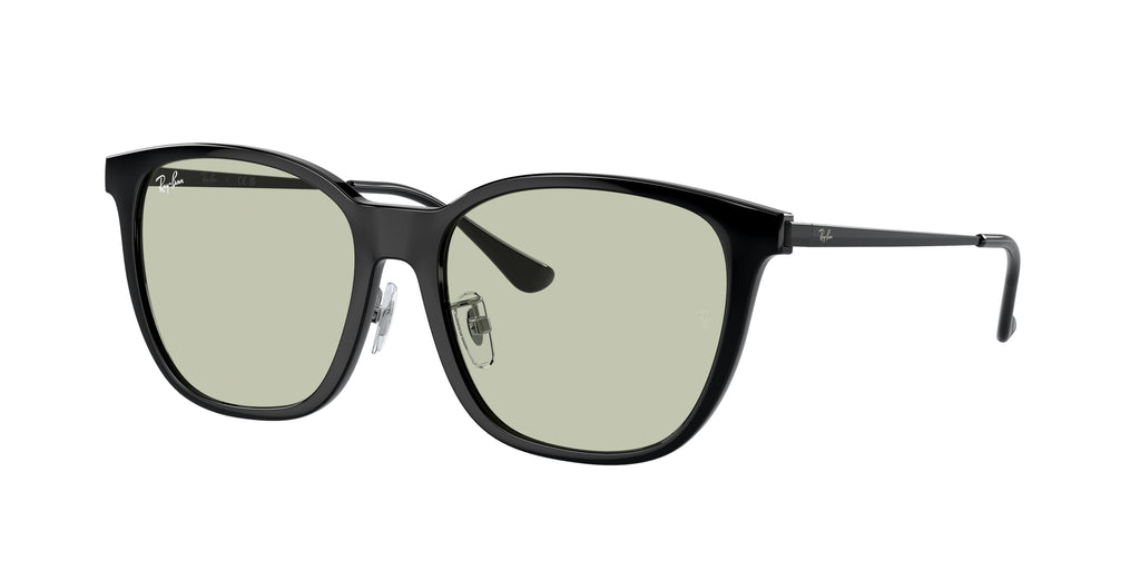 Ray-Ban | 0RB4333D