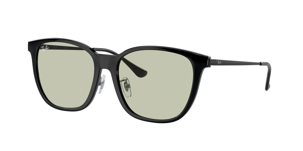 Ray-Ban | 0RB4333D