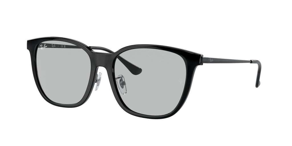 Ray-Ban | 0RB4333D