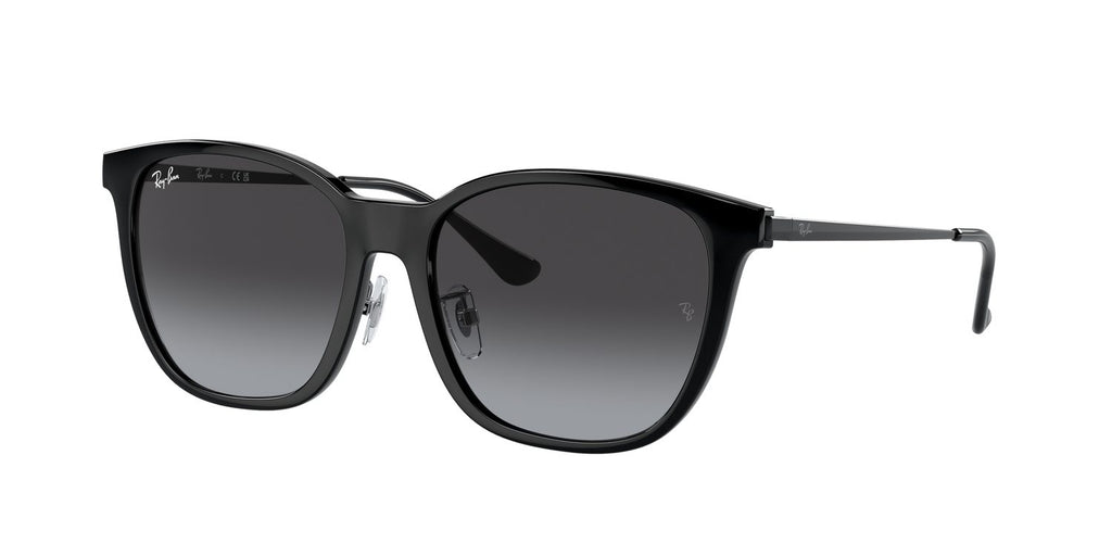 Ray-Ban | 0RB4333D