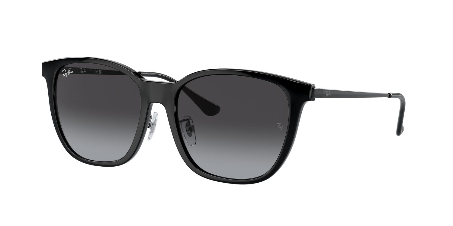 Ray-Ban | 0RB4333D