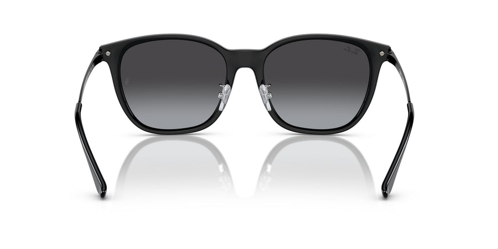 Ray-Ban | 0RB4333D