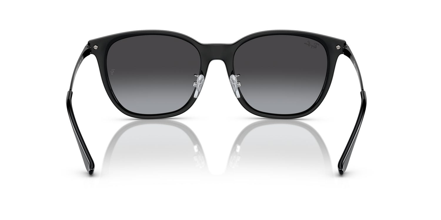 Ray-Ban | 0RB4333D