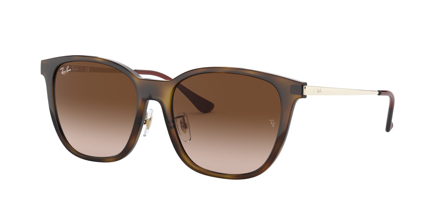 Ray-Ban | 0RB4333D