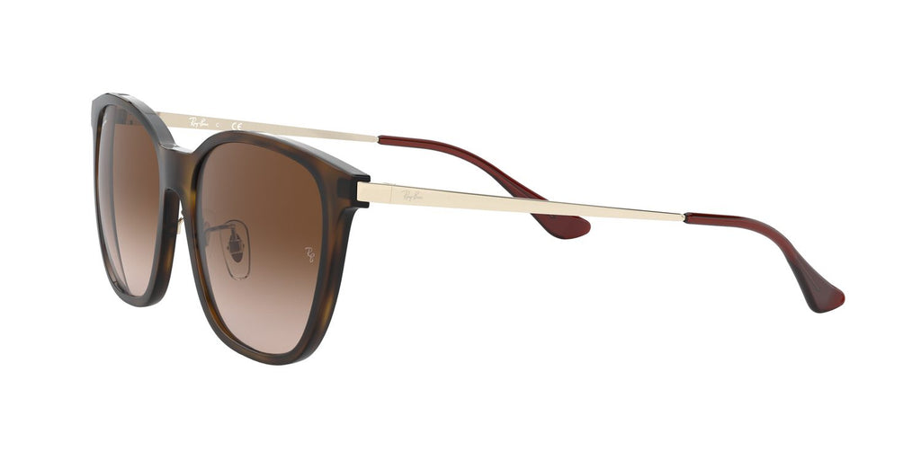 Ray-Ban | 0RB4333D
