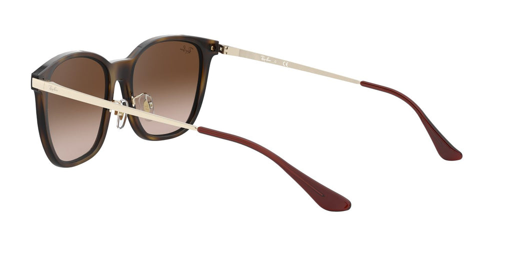 Ray-Ban | 0RB4333D