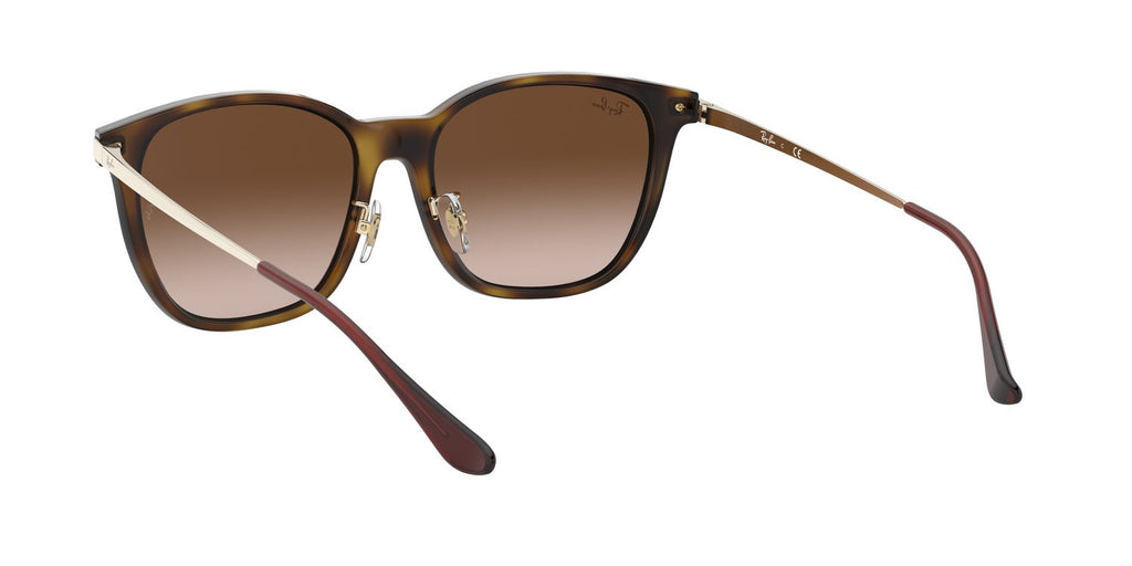 Ray-Ban | 0RB4333D