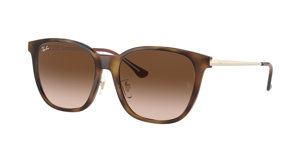 Ray-Ban | 0RB4333D
