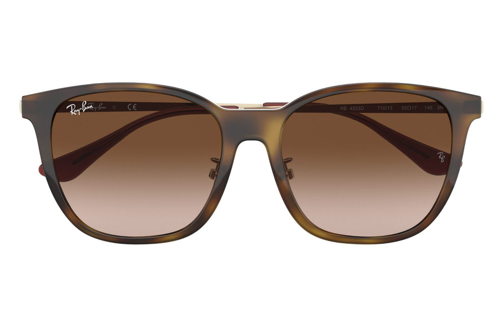 Ray-Ban | 0RB4333D