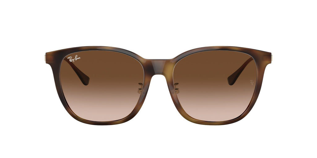 Ray-Ban | 0RB4333D