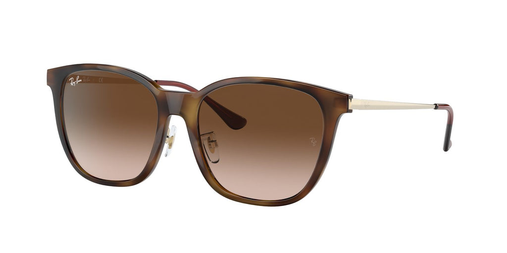 Ray-Ban | 0RB4333D