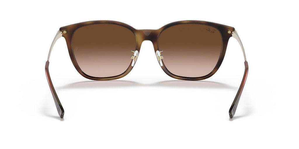 Ray-Ban | 0RB4333D