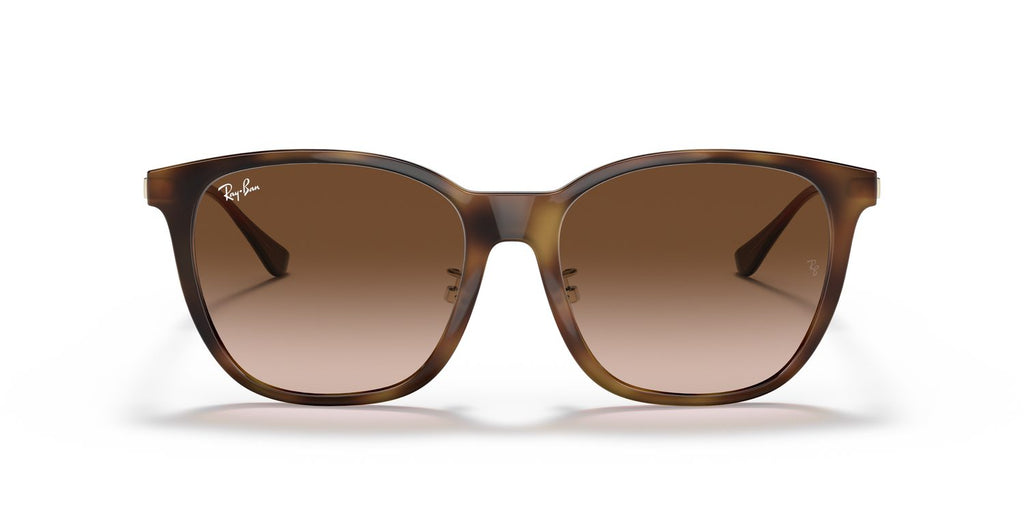 Ray-Ban | 0RB4333D